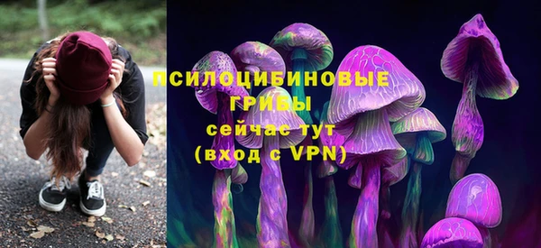 круглые Приозерск