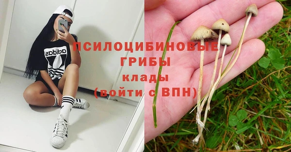 apvp Абдулино