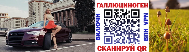 Псилоцибиновые грибы Psilocybine cubensis Дубна